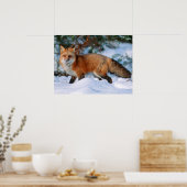 Red Fox | Sneeuw in de winter, Montana Poster (Keuken)