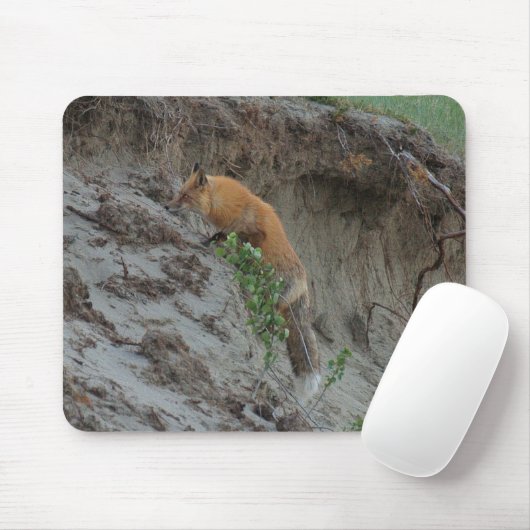 Red Fox Stealing Eggs Wildlife Mousepad Muismat (Met muis)
