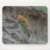 Red Fox Stealing Eggs Wildlife Mousepad Muismat (Voorkant)