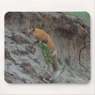 Red Fox Stealing Eggs Wildlife Mousepad Muismat