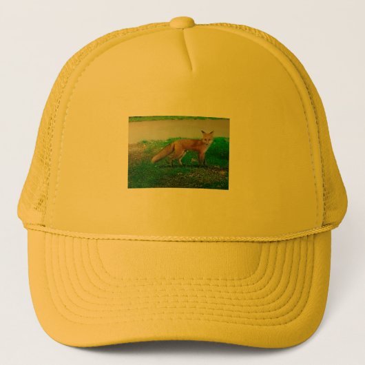 Red Fox Trucker Hat Pet (Voorkant)