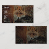 Red Fox van Cape Newenham Visitekaartje (Voorkant / Achterkant)