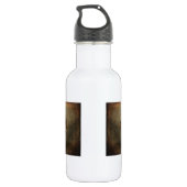 Red Fox Vixen - Island Beach State Park - NJ Waterfles (Achterkant)