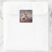 red fox, Vulpes vulpes, pup scratching itself; Vierkante Sticker (Tas)