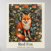 Red Fox Wetenschappelijke naam Wildlife Poster (Voorkant)