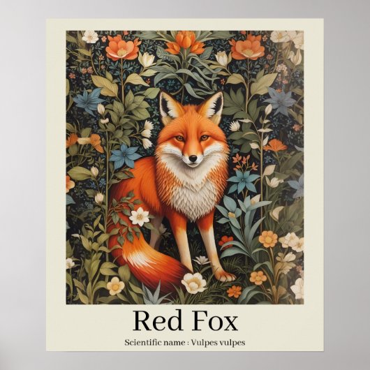 Red Fox Wetenschappelijke naam Wildlife Poster (Voorkant)