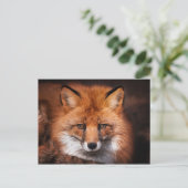 Red Fox Wild Woodland Animal Briefkaart (Staand voorkant)