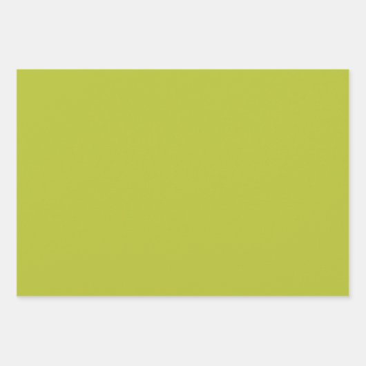 Red Fox Woodland Wildlife Pattern Inpakpapier Vel (Voorkant 3)