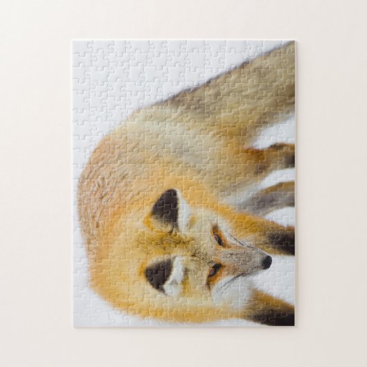 Red Fox Wyoming. Legpuzzel (Verticaal)