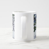 Red Fox zit op sneeuwbank, Vulpes, Mt. Grote Koffiekop (Achterkant)