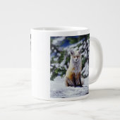 Red Fox zit op sneeuwbank, Vulpes, Mt. Grote Koffiekop (Voorkant rechts)