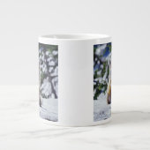 Red Fox zit op sneeuwbank, Vulpes, Mt. Grote Koffiekop (Voorkant)