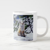Red Fox zit op sneeuwbank, Vulpes, Mt. Grote Koffiekop (Rechts)