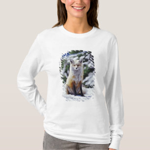 Red Fox zit op sneeuwbank, Vulpes, Mt. T-shirt