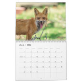 Red Foxes 2021-agenda Kalender (Mar 2026)