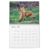 Red Foxes - 2026 Kalender (Feb 2026)