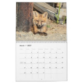 Red Foxes - 2026 Kalender (Mar 2027)