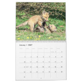 Red Foxes - 2026 Kalender (Jan 2027)