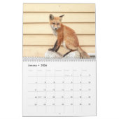 Red Foxes 2026 Kalender (Jan 2026)