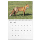 Red Foxes Calendar 2021 Kalender (Mar 2026)