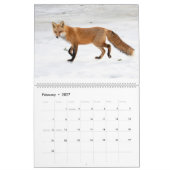Red Foxes Calendar 2021 Kalender (Feb 2027)
