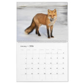 Red Foxes Calendar 2021 Kalender (Jan 2026)