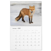 Red Foxes Calendar 2021 Kalender (Jan 2027)