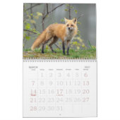 Red Foxes Calendar Kalender (Mar 2027)