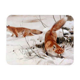 Red Foxes in the Winter Snow (by Wilhelm Kuhnert) Magneet