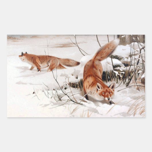 Red Foxes in the Winter Snow (by Wilhelm Kuhnert) Rechthoekige Sticker (Voorkant)