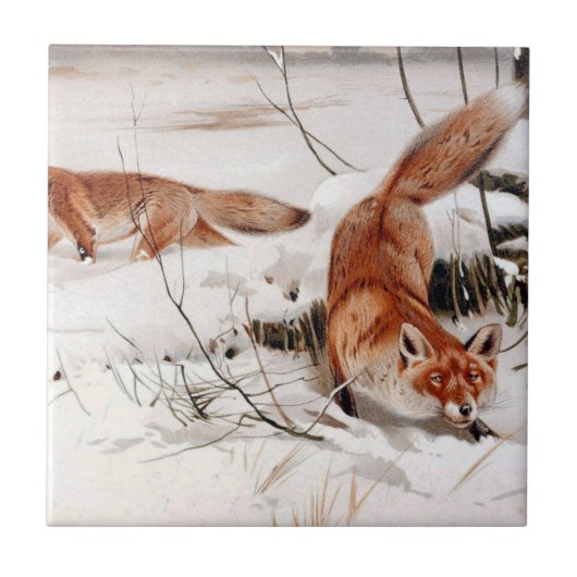 Red Foxes in the Winter Snow (by Wilhelm Kuhnert) Tegeltje (Voorkant)