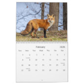 Red Foxes Kalender (Feb 2026)