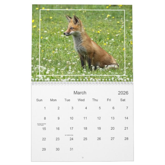 Red Foxes Kalender (Mar 2026)