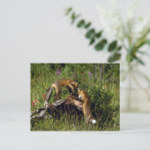 Red Foxes-kits Briefkaart (Staand voorkant)