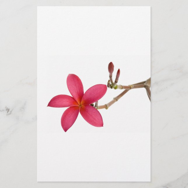 Red Frangipani (Voorkant)