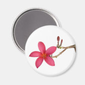 Red Frangipani Magneet (Voorkant / Achterkant)