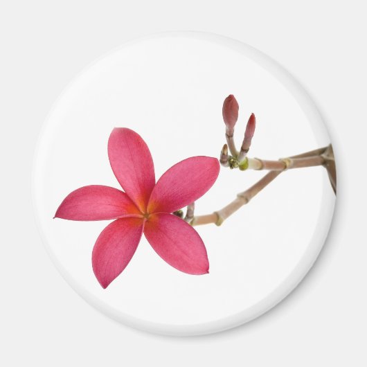 Red Frangipani Magneet (Voorkant)