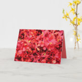 Red Frenzy Kaart (Gele Bloem)