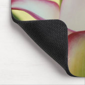 Red Fringe Calla Lily Muismat (Hoek)