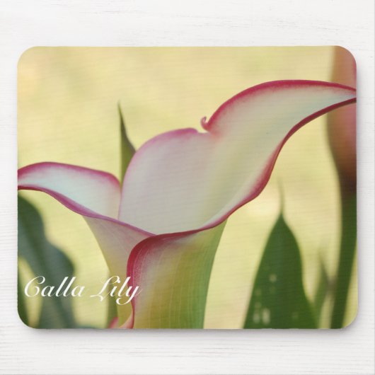 Red Fringe Calla Lily Muismat (Voorkant)
