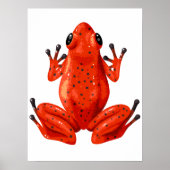 Red Frog Digital Print | Kikkerwandafdrukken (Voorkant)