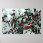 Red Frozen Berries Winterseizoen Poster Wall Art (Voorkant)