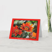 Red Gazania bedankt (Achterkant)