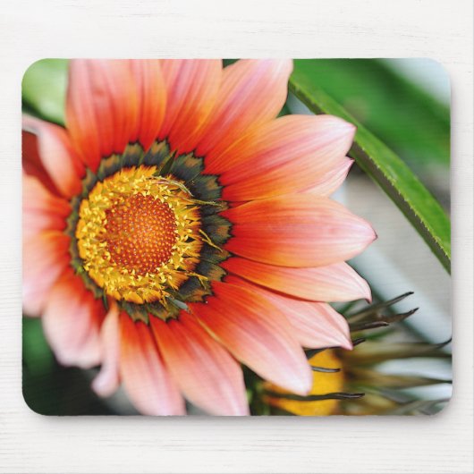 Red Gazania Muismat (Voorkant)