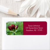 Red Gentian Flower Adres Etiket (Insitu)