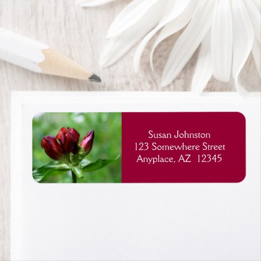 Red Gentian Flower Adres Etiket (Insitu)