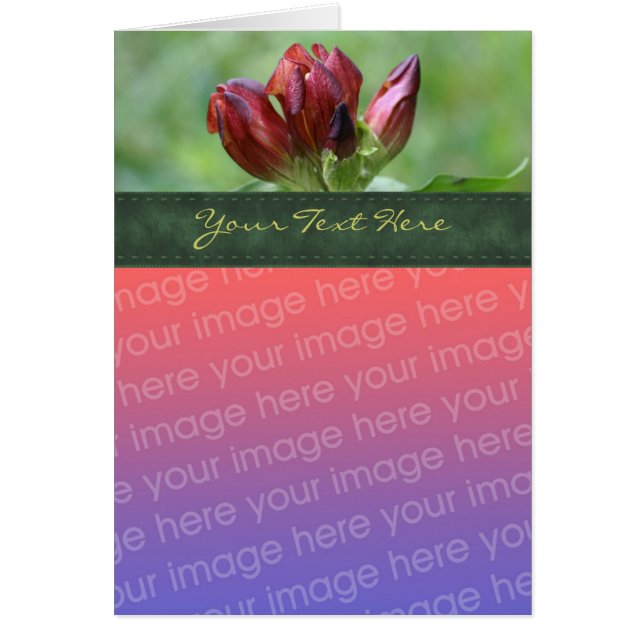 Red Gentian Flower-fotokaart (Voorkant)