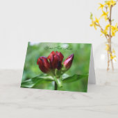 Red Gentian Flower-fotokaart Kaart (Gele Bloem)