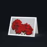 Red Geranium Flowers, Floral Portrait Kaart<br><div class="desc">Red Geranium Flowers,  Floral Portrait Greeting Card. You can easily customize this product for free if you would like to add wording or change the color of the background.</div>