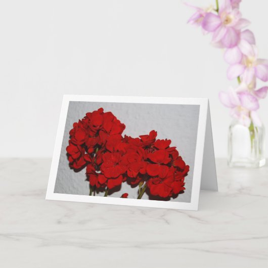 Red Geranium Flowers, Floral Portrait Kaart (Orchidee)